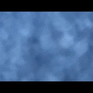 Meet your Posher, Thelma